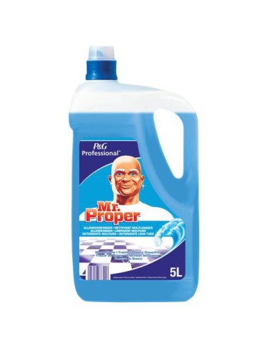 MR PROPRE NETTOYNAT UNIVERSEL 5 LITRES-1X