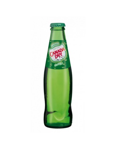 Canada Dry 20CL VERRE 24x20cl