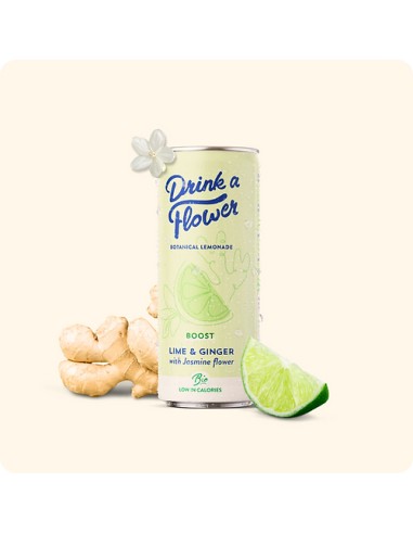 Drink a Flower Citron vert, gingembre, jasmin 12X25CL