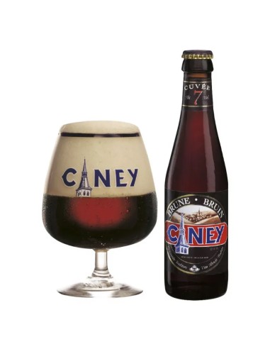 Ciney Brune  25CL VERRE 24x25cl